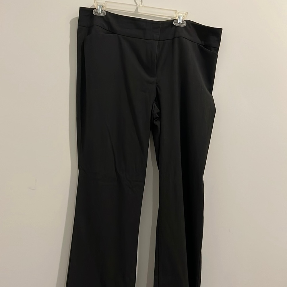 Ann Taylor Factory women’s dress pants